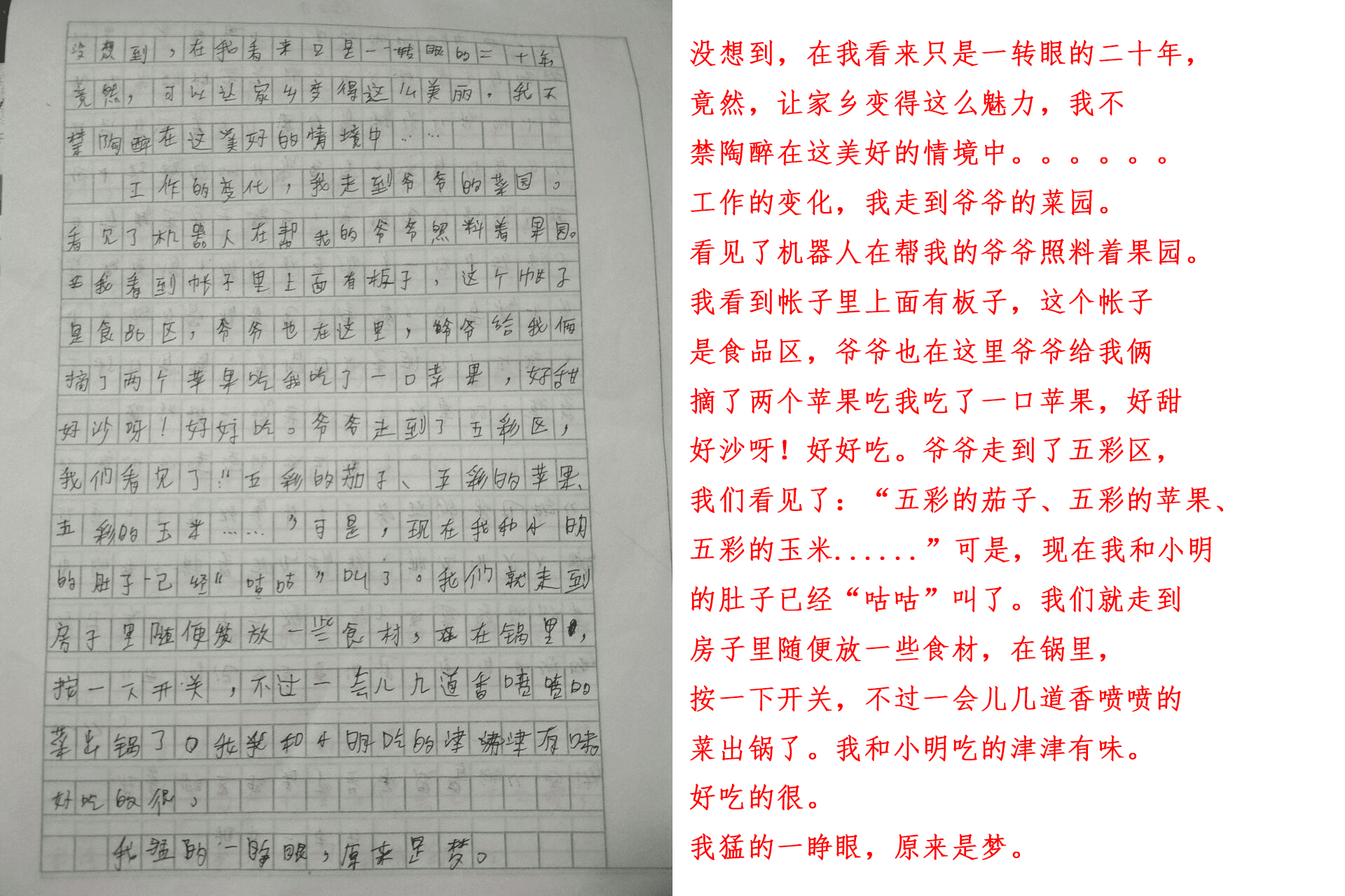 Chinese Handwritten Composition Dataset